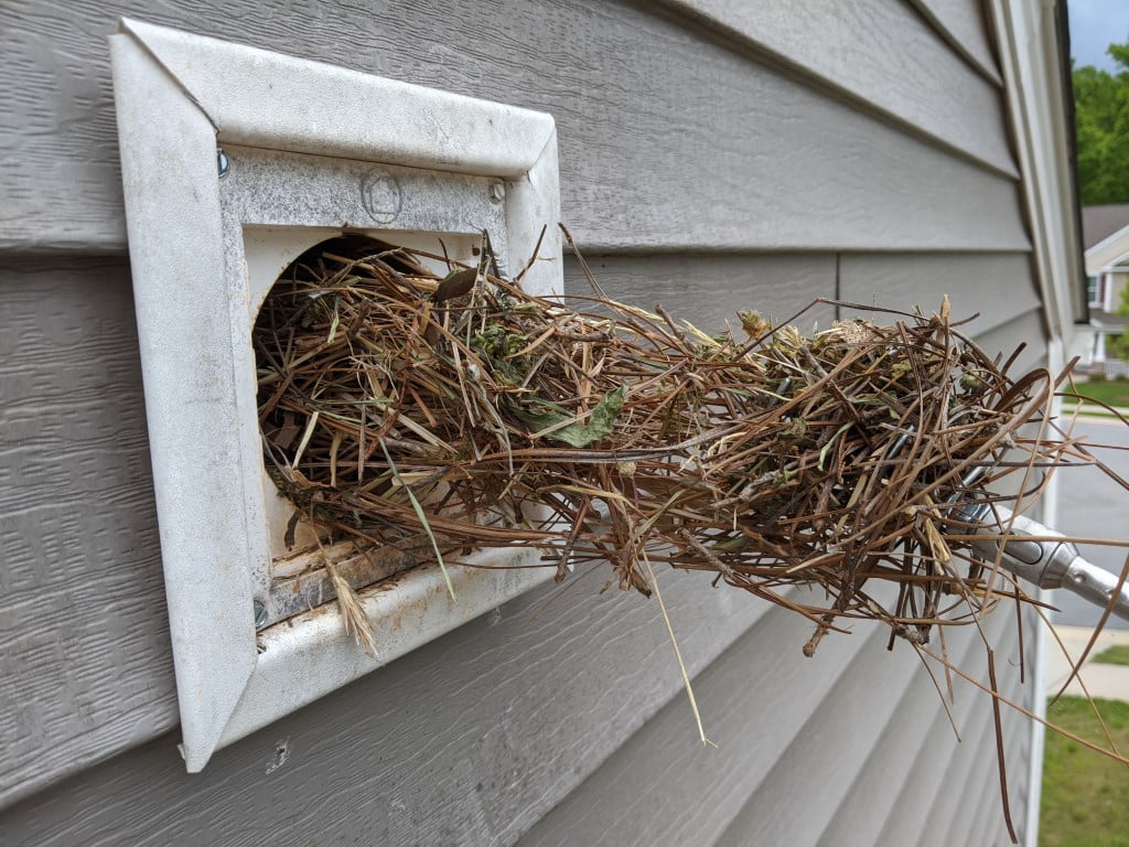 bird-nest-removal-Columbus